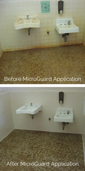 Before - After MicroGuard Application